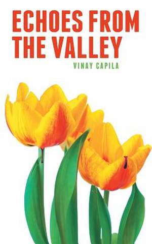 Echoes from the Valley de Vinay Capila