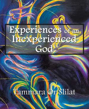 Experiences of an Inexperienced God de Tammara Or Slilat