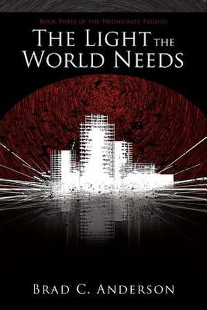 The Light the World Needs de Brad C. Anderson