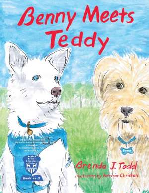 Benny Meets Teddy de Brenda Todd
