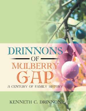 Drinnons of Mulberry Gap de Kenneth C. Drinnon