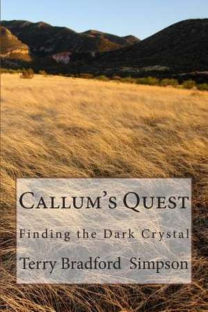 Callum's Quest de Terry Simpson