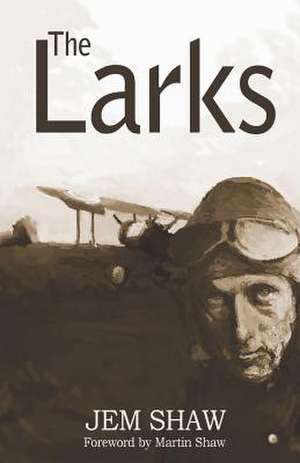 The Larks de Jem Shaw