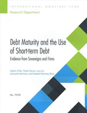 Debt Maturity and the Use of Short-Term Debt de International Monetary Fund