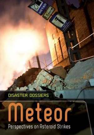 Meteor: Perspectives on Asteroid Strikes de Alex Woolf