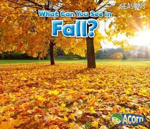 What Can You See in Fall? de SIAN SMITH