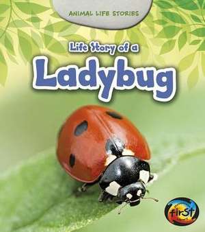 Life Story of a Ladybug de Charlotte Guillain