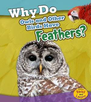 Why Do Owls and Other Birds Have Feathers? de Holly Beaumont