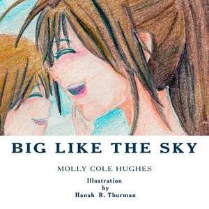 Big Like the Sky de Molly Cole Hughes