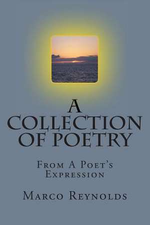 A Collection of Poetry de Marco Reynolds