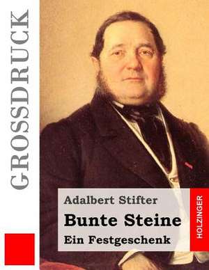 Bunte Steine (Grossdruck) de Adalbert Stifter