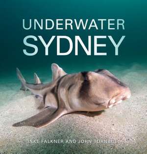 Underwater Sydney de Inke Falkner