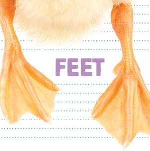 Feet de Katrine Crow