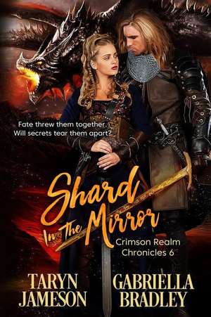 Bradley, G: SHARD IN THE MIRROR