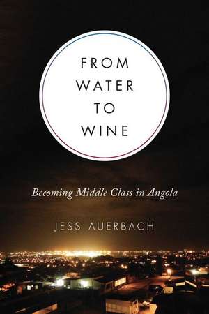 From Water to Wine de Jess Auerbach