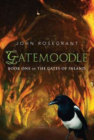 Gatemoodle de John Rosegrant