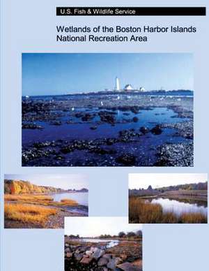 Wetlands of the Boston Harbor Islands National Recreation Area de Ralph W. Tiner