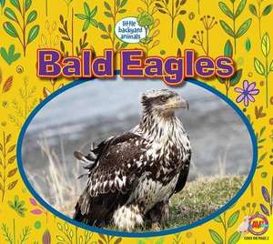 Bald Eagles de Heather Kissock