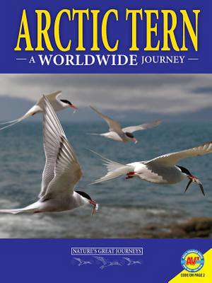 Arctic Terns: A Worldwide Journey de Rebecca Hirsch