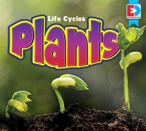 Plants de Alan Born