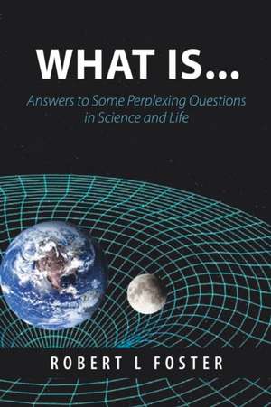 What Is . . . de Robert L Foster