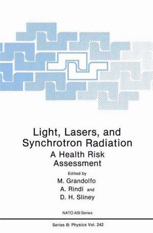 Light, Lasers, and Synchrotron Radiation: A Health Risk Assessment de Martino Grandolfo