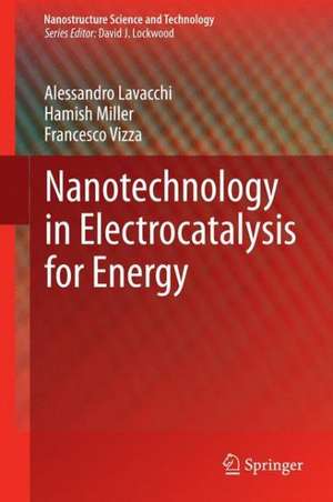 Nanotechnology in Electrocatalysis for Energy de Alessandro Lavacchi