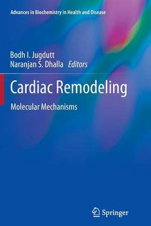 Cardiac Remodeling de Bodh I. Jugdutt