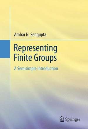 Representing Finite Groups: A Semisimple Introduction de Ambar N. Sengupta