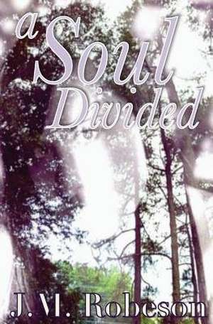 A Soul Divided de J. M. Robeson