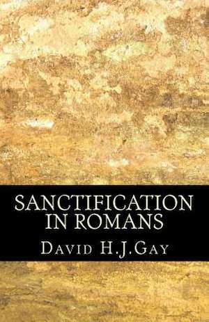 Sanctification in Romans de David H. J. Gay