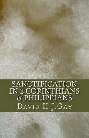 Sanctification in 2 Corinthians & Philippians de David H. J. Gay