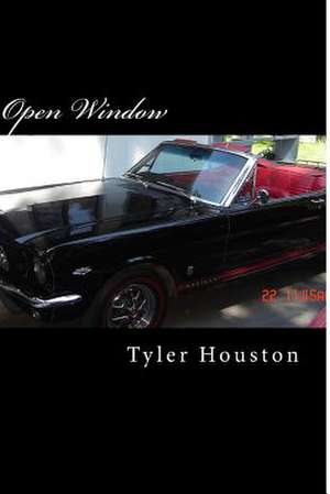 Open Window de MR Tyler J. Houston