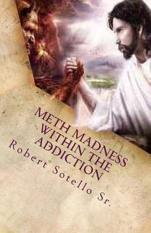 Meth Madness Within the Addiction de Robert Sotello Sr