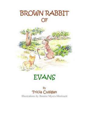 Brown Rabbit of Evans de Tricia Culligan