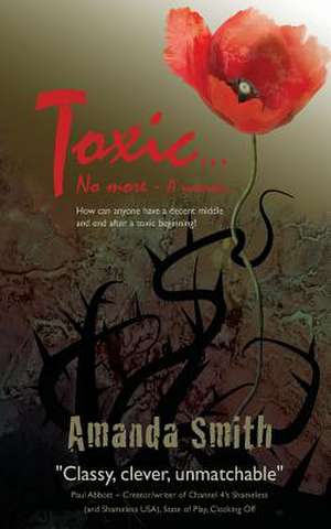 Toxic...No More de Amanda Smith