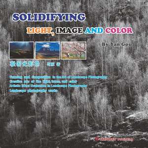 Solidifying Light, Image and Color de Yan Gou