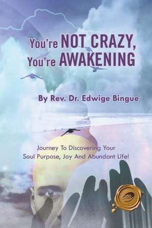 You're Not Crazy, You're Awakening de Rev Dr Edwige Bingue