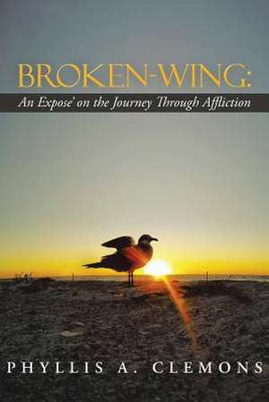 Broken-Wing de Phyllis A. Clemons