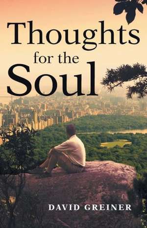 Thoughts for the Soul de David Greiner