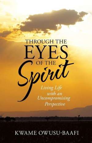 Through the Eyes of the Spirit de Kwame Owusu-Baafi