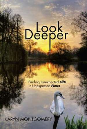 Look Deeper de Karyn Montgomery