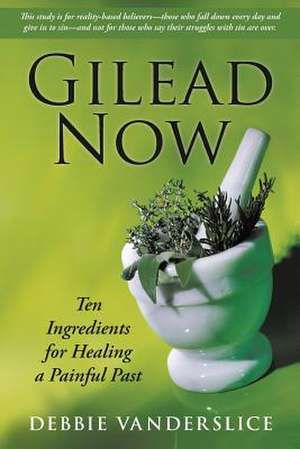 Gilead Now: Ten Ingredients for Healing a Painful Past de Debbie Vanderslice