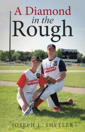 A Diamond in the Rough de Joseph L. Shetler