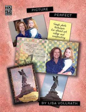 Picture Perfect de Lisa Vollrath