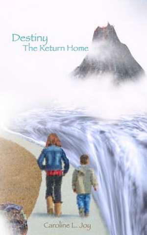 Destiny the Return Home de Mrs Caroline L. Joy