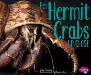 Pet Hermit Crabs Up Close de Jeni Wittrock