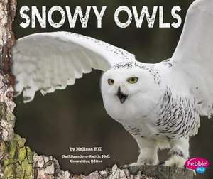 Snowy Owls de Melissa Hill