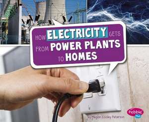 How Electricity Gets from Power Plants to Homes de Megan Cooley Peterson