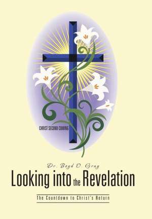 Looking Into the Revelation de Boyd O. Gray